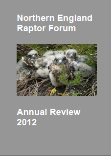 NERF 2012 report